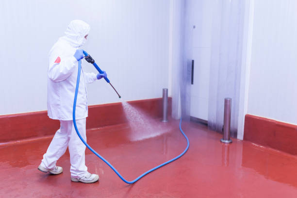 Best Boat and Dock Cleaning  in Al Creek, CO