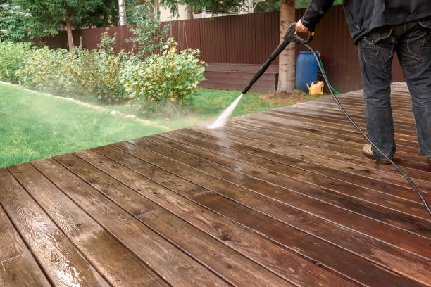 Best Dumpster Area Cleaning  in Al Creek, CO